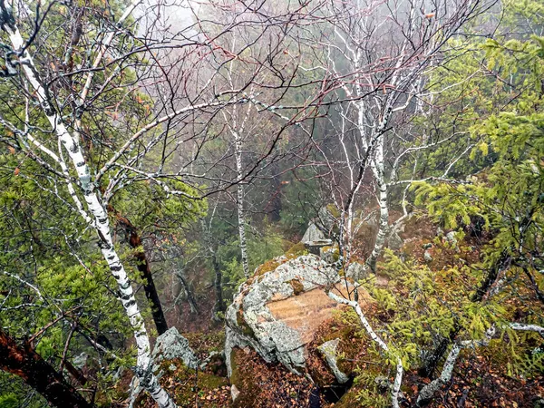 Stromy Rostou Puklinách Skal Horách Pohled Shora Národní Park Taganay — Stock fotografie