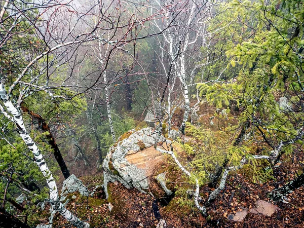 Drzewa Rosną Pęknięciach Skał Górach Widok Góry Park Narodowy Taganay — Zdjęcie stockowe