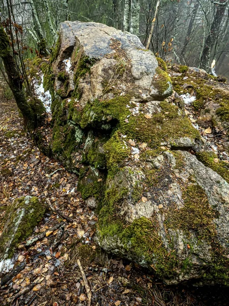 Drzewa Rosną Pęknięciach Skał Górach Narodowy Park Przyrody Taganay Zlatoust — Zdjęcie stockowe