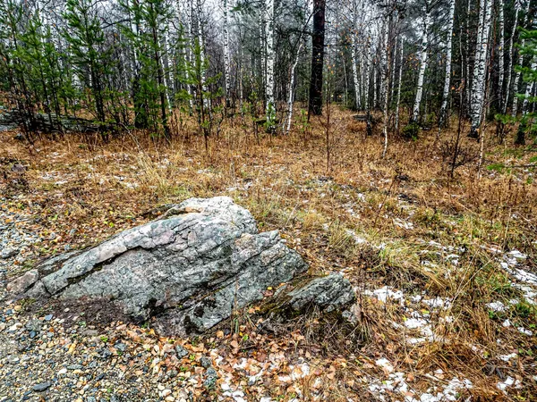 木は山の中の岩の割れ目で成長します タガナイ国立自然公園 Zlatoust ロシア — ストック写真