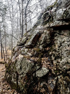 Dağlardaki kaya çatlaklarında ağaçlar yetişir, Taganay Ulusal Doğal Parkı, Zlatoust, Rusya
