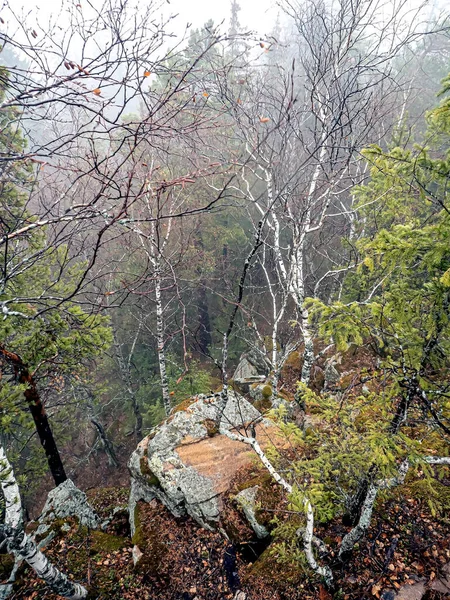 Δέντρα Αναπτύσσονται Στις Ρωγμές Των Βράχων Στα Βουνά Κορυφαία Θέα — Φωτογραφία Αρχείου