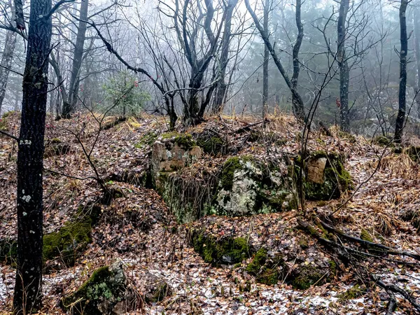 Drzewa Rosną Pęknięciach Skał Górach Narodowy Park Przyrody Taganay Zlatoust — Zdjęcie stockowe