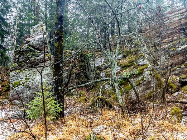 Stromy Rostou Puklinách Skal Horách Národní Park Taganay Zlatoust Rusko — Stock fotografie