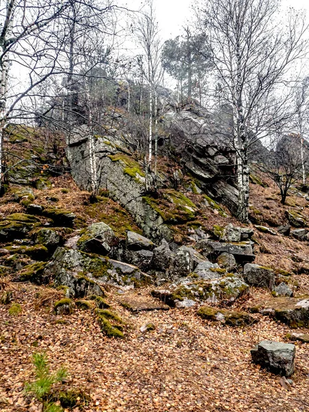 Drzewa Rosną Pęknięciach Skał Górach Narodowy Park Przyrody Taganay Zlatoust — Zdjęcie stockowe