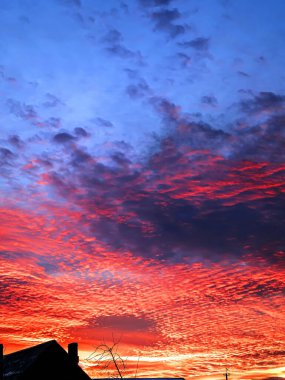 Kırsalda parlak kırmızı-mavi kış günbatımı manzarası