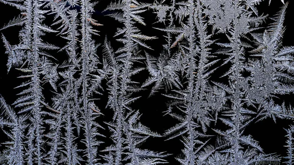 Fantastic Beautiful Frosty Patterns Window Glass — Stock Photo, Image