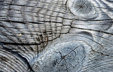 Tahtaların yüzeyinin dokusu uzun zamandır gölün kıyısında duruyordu.