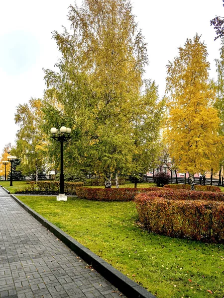 Jasne wielokolorowe drzewa w jesiennym parku — Zdjęcie stockowe