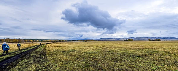 Panoramiczny Widok Wielobarwne Żniwne Jesienne Pole Pochmurną Pogodę Południowe Urale — Zdjęcie stockowe