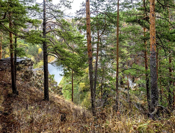 Bulutlu Bir Günde Nehrinin Kıyısındaki Pritesy Bölgesinden Sonbahar Manzarası — Stok fotoğraf