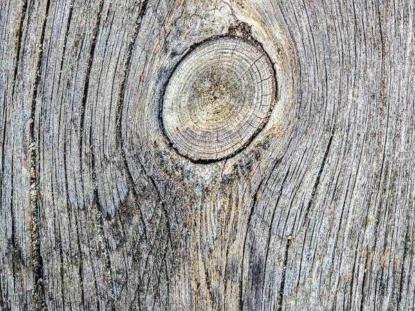 Textura de las tablas en la orilla del lago — Foto de Stock