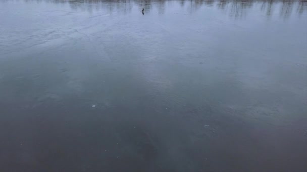 Drone che sorvola un lago ghiacciato con ghiaccio da un pescatore seduto su di esso in una giornata invernale — Video Stock