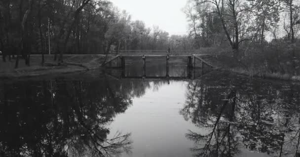 A kamera átrepülése a folyón, kilátással az őszi fákra és a BW lombozat tükröződéseire — Stock videók
