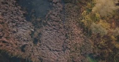 Bir dron bulutların yansıdığı küçük bir göle iniyor.