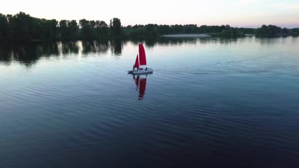 Flying Catamaran Floating River Scarlet Sails Sunset High Quality Footage — Vídeo de stock
