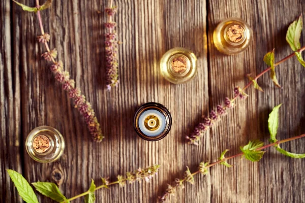 Flessen Aromatherapie Etherische Olie Met Verse Bloeiende Pepermuntplant Bovenaanzicht — Stockfoto