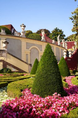 PRAG, CZECH Cumhuriyet - 10 Ekim 2021: Sonbaharda çiçek açan Vrtbovska Zahrada veya Vrtba Bahçesi