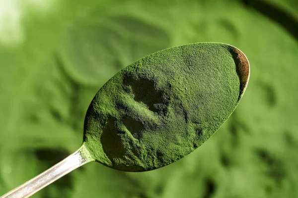 Yeşil Klorellalı Alg Tozu Yakın Çekim — Stok fotoğraf
