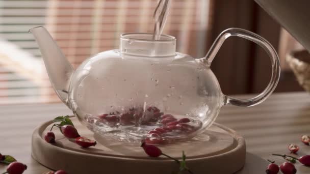 Nalévání Horké Vody Průhledné Skleněné Konvice Přípravu Čerstvého Růžového Čaje — Stock video