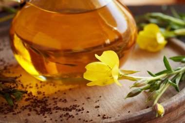 Arka planda bir şişe çiçekli Oenothera biennis çiçeği