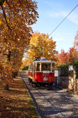 PRAG, CZECH REPUBLIC - 24 Ekim 2021: Hradcany ilçesinde sarı sonbahar yapraklı ağaçların altında eski model tramvay