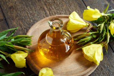 Taze çiçek açmış Oenothera biennis bitkisiyle bir şişe çuha çiçeği yağı. 