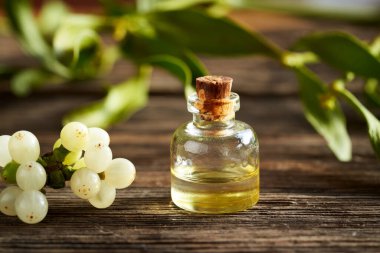 Taze ökseotu dalları ve böğürtlenlerle bir şişe aromaterapi.