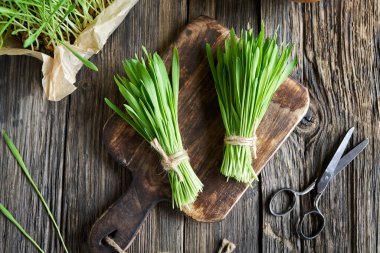 İki tomar taze arpa tohumu kırsal bir arka planda, üst manzara