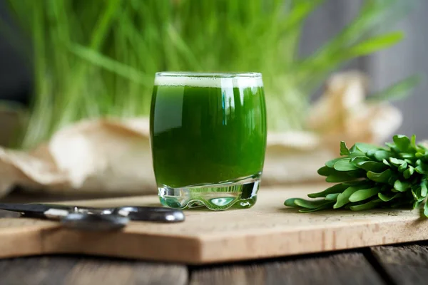 Verre Jus Herbe Orge Avec Des Lames Fraîchement Récoltées — Photo