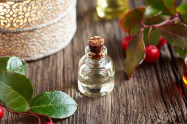 Bir şişe aromaterapi esaslı yağ, taze keklik üzümü bitkisi ve mum.