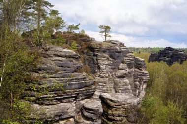 Tiske Steny ya da Tisa 'nın baharda Bohemya, Çek Cumhuriyeti' nde sallanışı