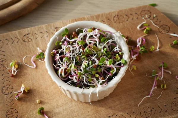 Fresh Pink Radish Sprouts White Bowl Healthy Natural Food - Stock-foto