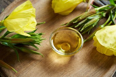 Evening primrose yağı ile çiçeklenme oenothera biennis bitki 
