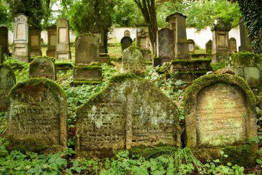 USTEK, CZECH REPUBLIC - 29 Ağustos 2021: Yazın eski Yahudi mezarlığında mezar taşları