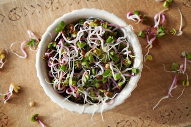 Beyaz kasede taze turp filizleri, üst manzara.