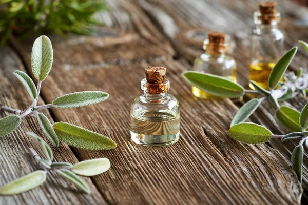 Bottle Aromatherapy Essential Oil Fresh Sage Twigs Table — Stockfoto