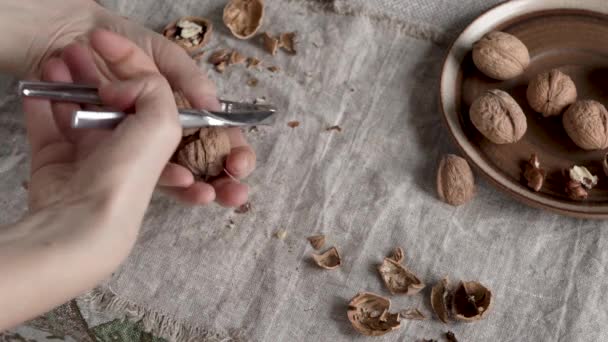 Hands Cracking Walnuts Nutcracker Table — Stock Video