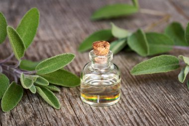 Bir şişe aromaterapi taze adaçayı dallarıyla gerekli yağ.