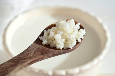 Kefir grains on a wooden spoon above a bowl of fresh milk