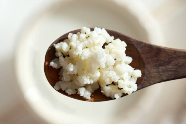 Kefir grains on a wooden spoon - ingredient to prepare a homemade fermented drink