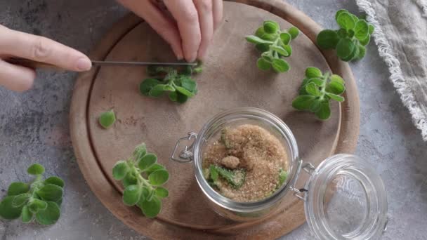 新鮮な銀のスパーフラワー植物とサトウキビの砂糖からの一般的な寒さに対する自家製のハーブシロップの準備 — ストック動画