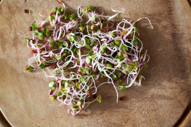 Taze pembe turp filizleri ya da ahşap kesme tahtasındaki mikro yeşiller.