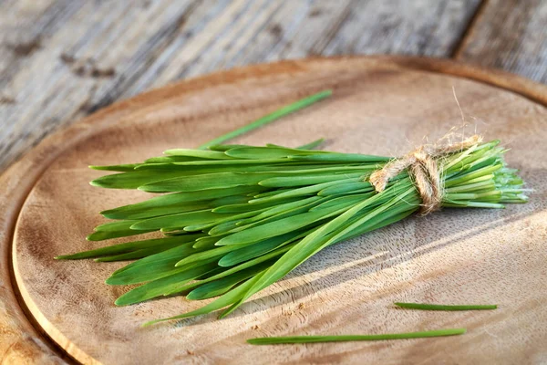 Bunt Färska Unga Gröna Korn Gräs Vegetarisk Mat Rik Klorofyll — Stockfoto