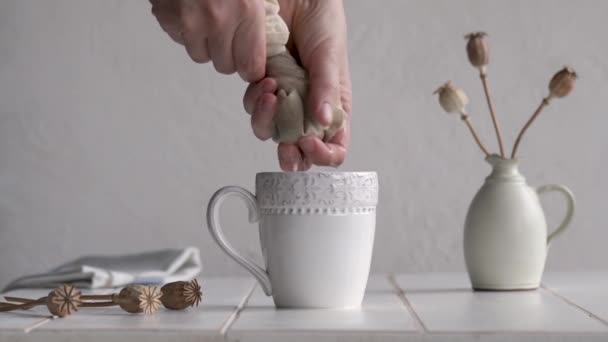 Πιέζοντας Σπόρους Παπαρούνας Αναμεμειγμένους Νερό Μέσα Από Μια Σακούλα Γάλακτος — Αρχείο Βίντεο