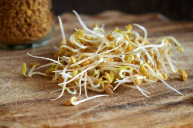 Taze filizlenmiş çemen otu tohumları bir masada.