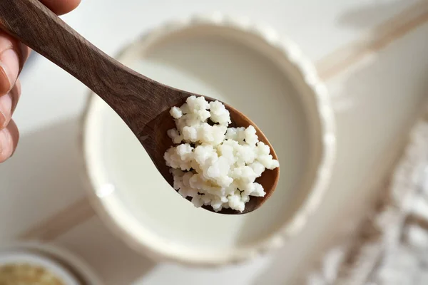 Grani Kefir Freschi Sopra Una Ciotola Latte Ingrediente Preparare Una — Foto Stock