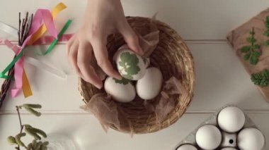 Paskalya yumurtalarının soğan kabuklarını boyamak için hazırlanması. Yapraklı çiğ yumurtaları sepete koymak.