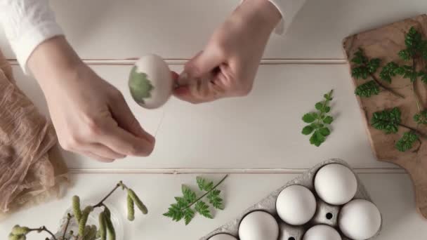 Zubereitung Von Ostereiern Zum Färben Mit Zwiebelschalen Anbringen Frischer Kräuter — Stockvideo