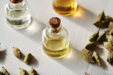 Beyaz arka planda kakule tohumları olan bir şişe aromaterapi yağı.